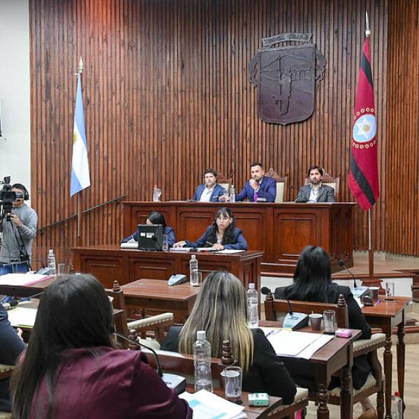Repudio del Concejo Deliberante de Salta por la utilización de una discapacidad como insulto