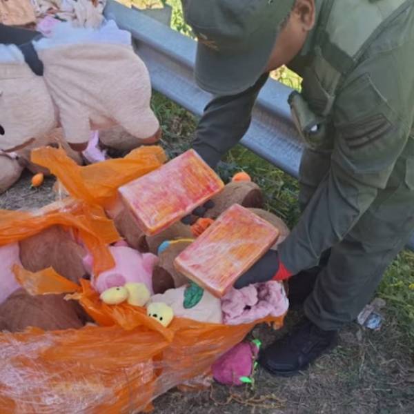 Salió de Orán en un tour de compras pero escondía 4 kilos de cocaína en carpinchos de peluche
