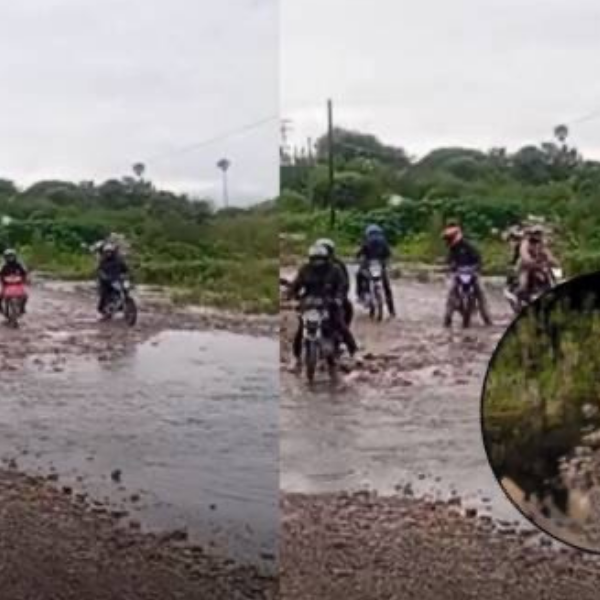 Obreros de la construcción que trabajan en San Lorenzo Chico están preocupados por la presencia de yacarés en un camino que usan