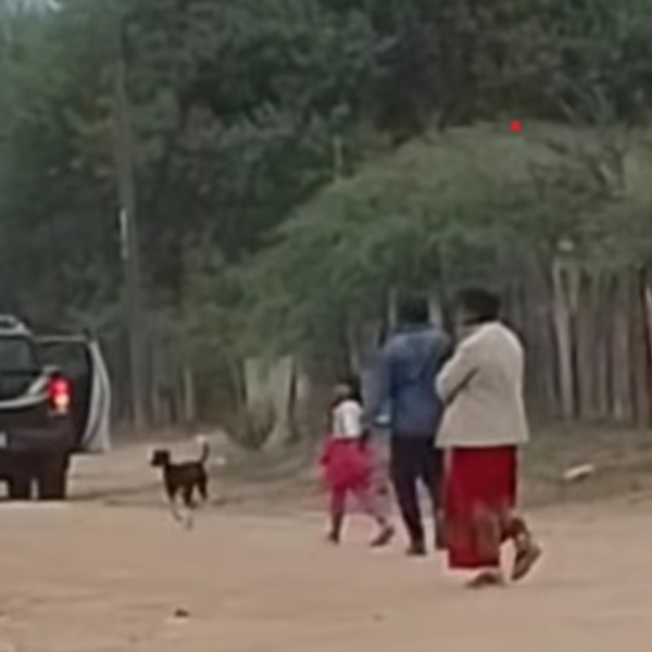 Violencia familiar en el norte de Salta: Adolescente golpeó y apuñaló a su padre para sacarle plata y comprar drogas