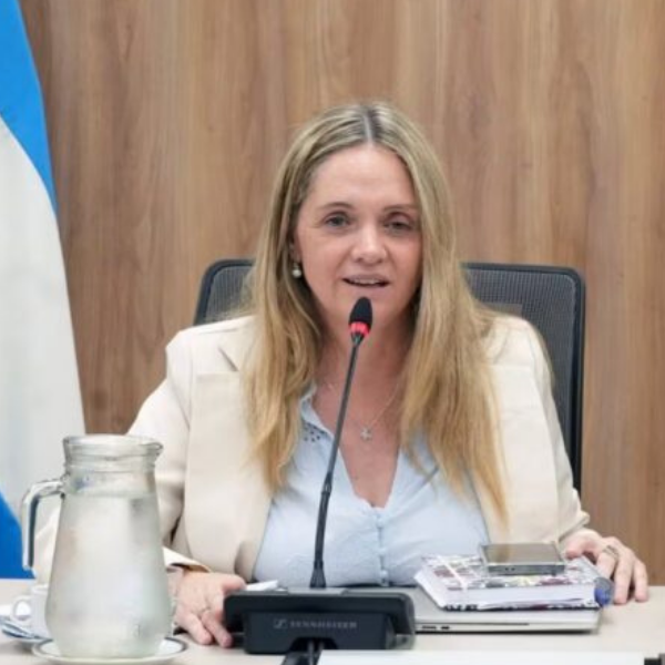 Escándalo y renuncia: La diputada libertaria por Salta deja la presidencia de la Comisión de Niñez tras la polémica por los pasajes