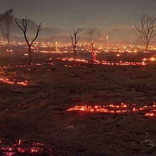 Grave reporte de Defensa Civil: Confirmaron que el incendio en Cafayate ya arrasó cerca de 200 hectáreas de bosque nativo