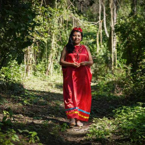 “Las protectoras de las Yungas”: la comunidad guaraní en Salta apuesta por la conservación del bosque y proteger su biodiversidad