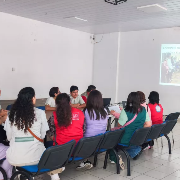 Salta y Tarija coordinan un operativo binacional ante el brote de Chikungunya: 