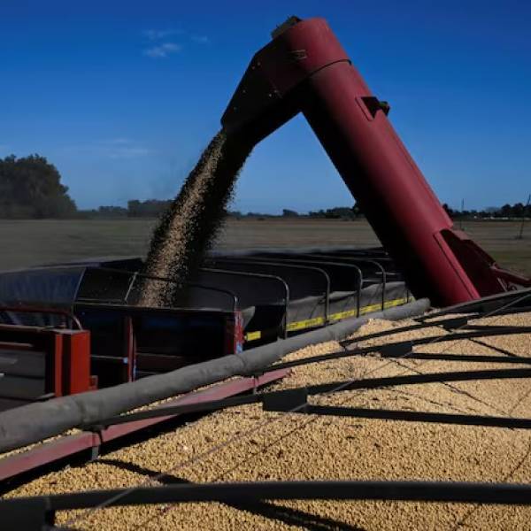 Puñalada al campo: el Gobierno vuelve a subir las retenciones a la soja y al maíz