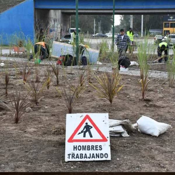 En San Luis el municipio ejecuta tareas de parquización y realizó cortafuegos para prevenir incendios