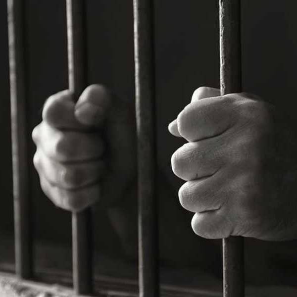 La Justicia salteña envió a prisión a Rodrigo Bonemann el acusado de herir a un perro con un machete y causar su muerte