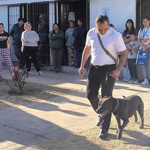 Para prevenir y educar: Se dictará un taller sobre perros potencialmente peligrosos en el CIC del barrio Asunción