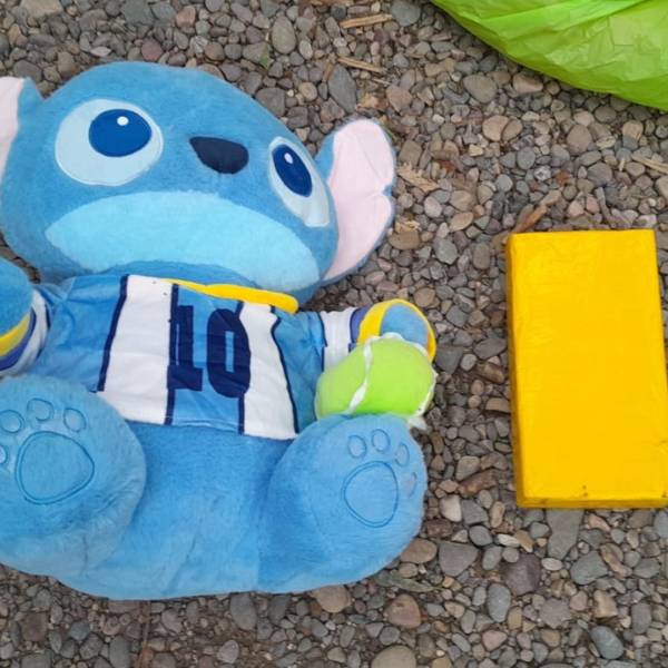 En Orán detuvieron a una mujer por llevar un kilo de cocaína oculto en un peluche