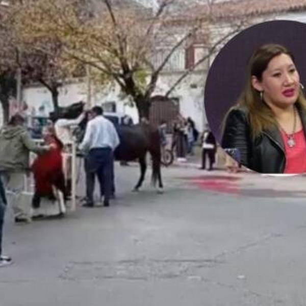 Proteccionistas denuncian a una agrupación gaucha por el colapso de un caballo en el desfile del 17 de junio