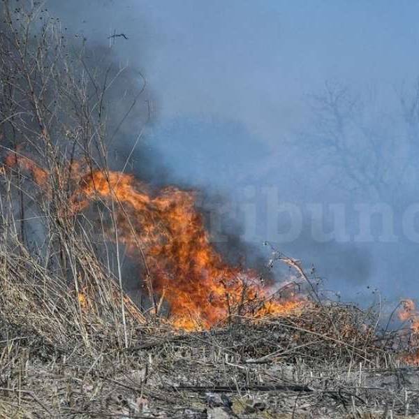 ALERTA POR VIENTO ZONDA: Defensa Civil advierte que la situación se complica en Salta con más de 25 incendios activos