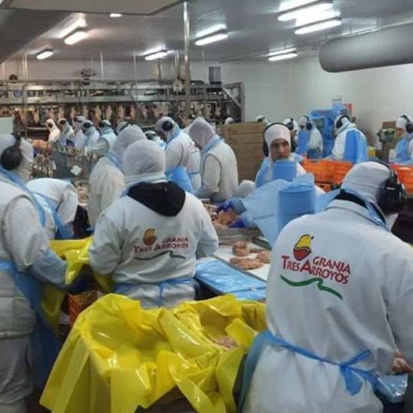 La mayor avícola de Argentina pidió el concurso de acreedores