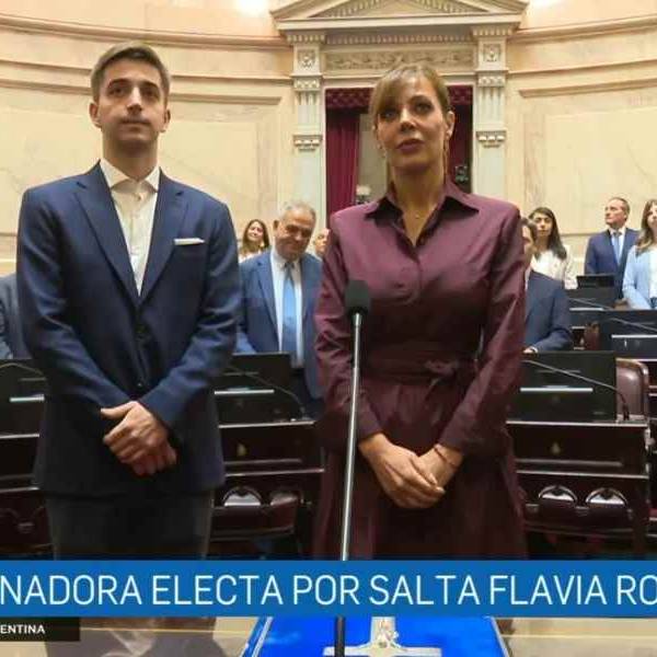 Flavia Royón asumió en el Senado: 