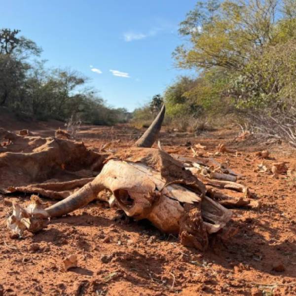 Denuncian que el pozo petrolero abandonado en el norte de Salta sigue emanando gases y fluidos