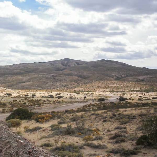 El Senado debatirá el proyecto de Milei para que los extranjeros puedan comprar campos de forma ilimitada