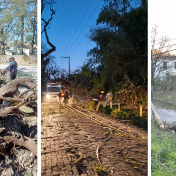 Salta: Ráfagas de hasta 133 km/h golpearon San Lorenzo derribando árboles y postes