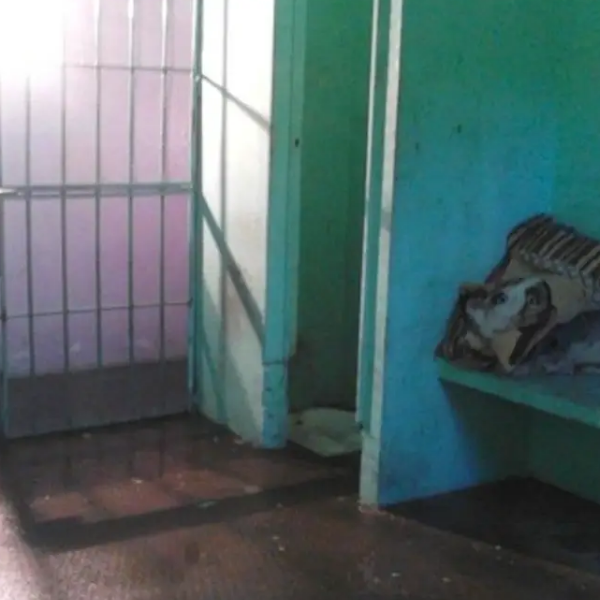 Investigan  la muerte violenta de un preso en el sur de Salta:  