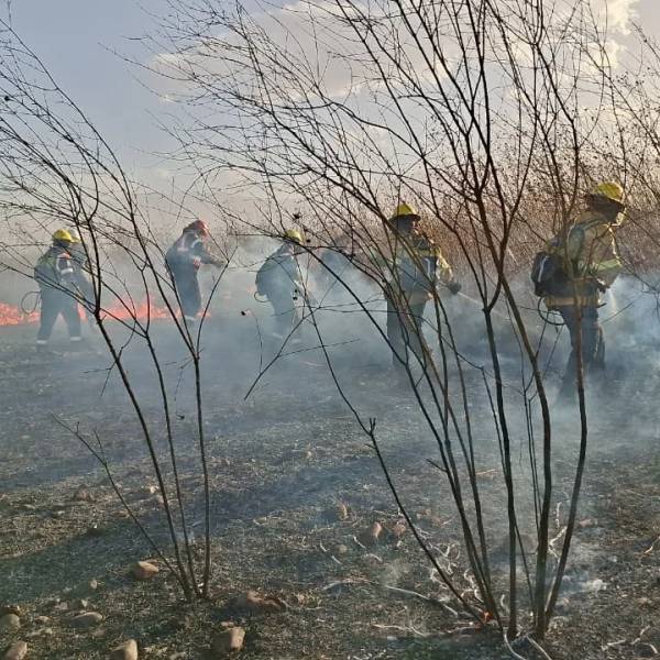 El Municipio, Defensa Civil y bomberos sofocaron un importante incendio en el predio del aeropuerto Martín Miguel de Güemes.