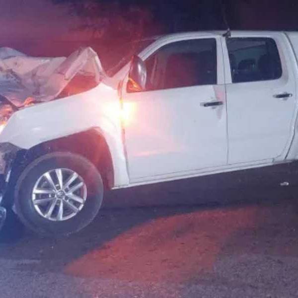 Los animales sueltos siguen causando siniestros en Salta: Una camioneta chocó contra un caballo en la Ruta 5