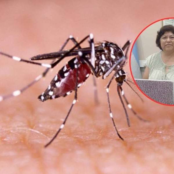 La Gerente General del Hospital  de Orán advierte: “Podríamos tener un brote de chikungunya en Orán”