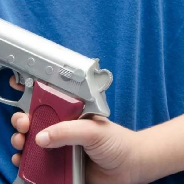 El Senado de Salta aprobó el proyecto que prevé arrestar a padres cuyos hijos menores usen o exhiban armas de fuego