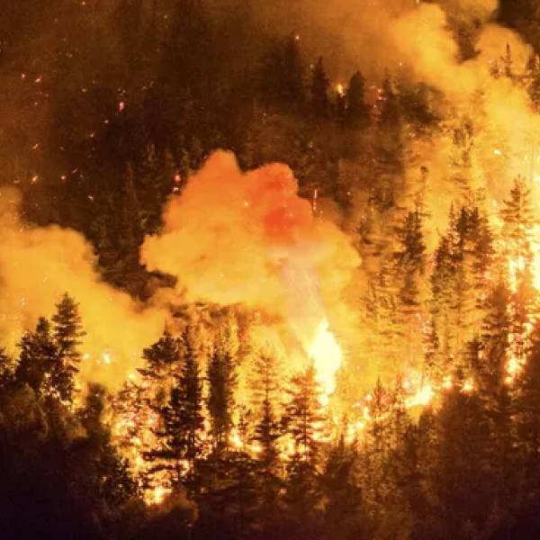 Incendios forestales: Después de un mes de la catastrofe el Gobierno firmó el DNU que declara la Emergencia Ígnea en la Patagonia