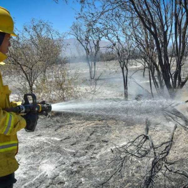 Prohíben lotear los terrenos afectados por el incendio intencional de un bosque nativo en Cafayate