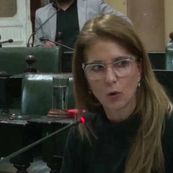 La diputada Villamayor calificó al hijo de Juan Carlos Romero como: 