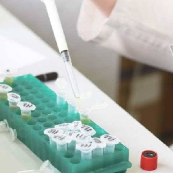 Confirman los primeros casos en Argentina de la nueva variante de Covid 
