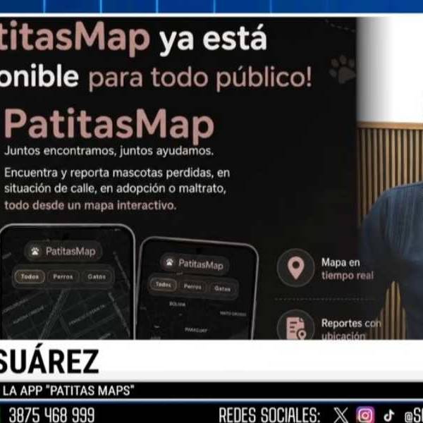 Estudiantes de la UNSa lanzan PatitasMap, una app gratuita para reportar animales perdidos  y adoptar mascotas