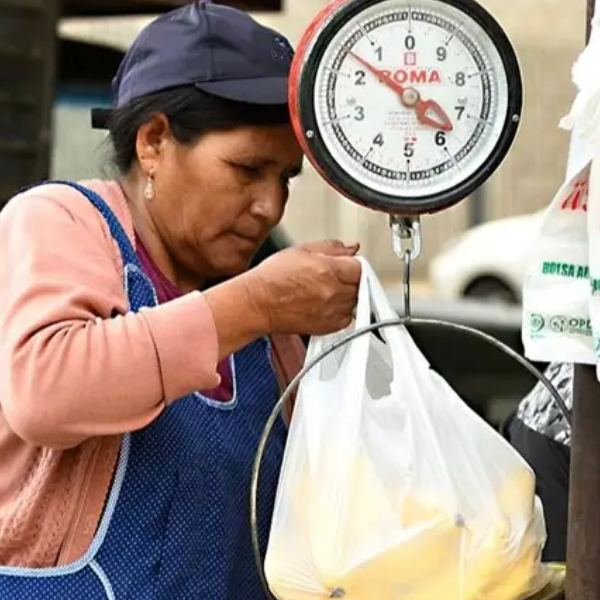 Cada vez alcanza menos: la AUH ya no cubre ni la mitad de los alimentos básicos