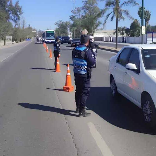 Peligro en las rutas: Detectan a 74 conductores alcoholizados tras controlar 11.400 vehículos en Salta