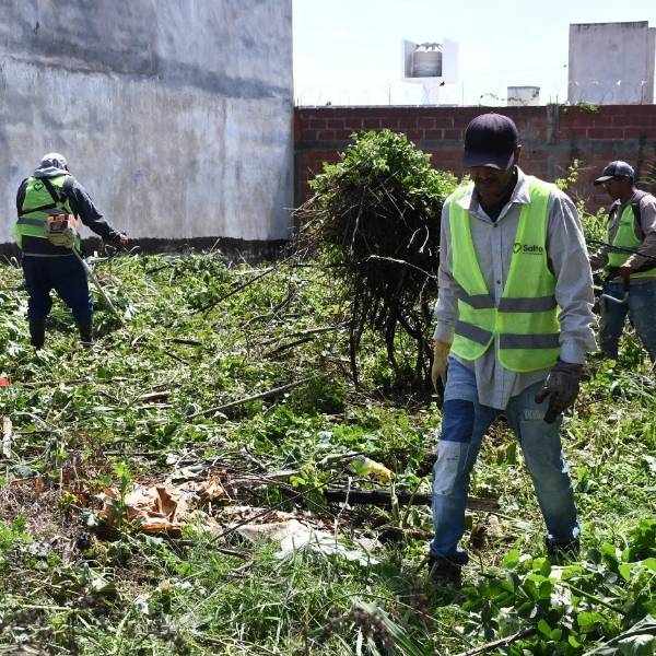 Evitá multas: La Municipalidad recuerda la importancia de mantener limpios los terrenos baldíos