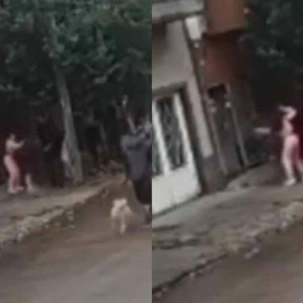 En un colegio un chico de 15 años fue apuñalado en el cuello por una compañera: “No quería que hable con nadie”