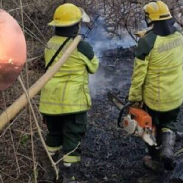 Fue intencional el Incendio forestal ocurrido en Cafayate: Una bombera sufrió quemaduras