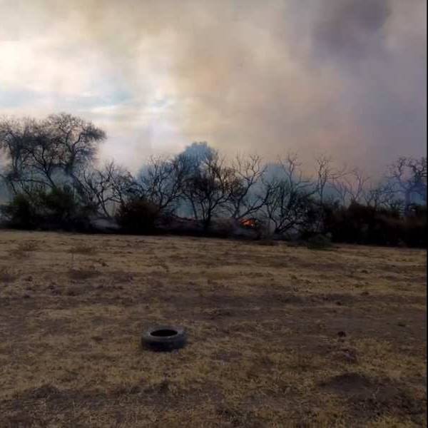 Por aire y por tierra se trabaja para controlar un gran incendio forestal en Cafayate  y que afecta a bosques nativos