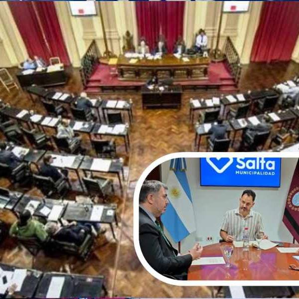 Diputados aprobó el proyecto para endurecer las penas contra los trapitos: “Podrán ser arrestados hasta 50 días.”