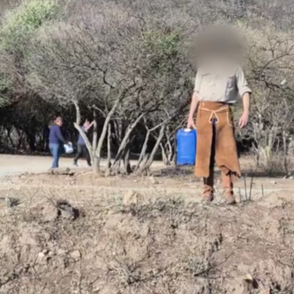 Patrulla Ambiental sobre las quemas de pastizales en Salta: 