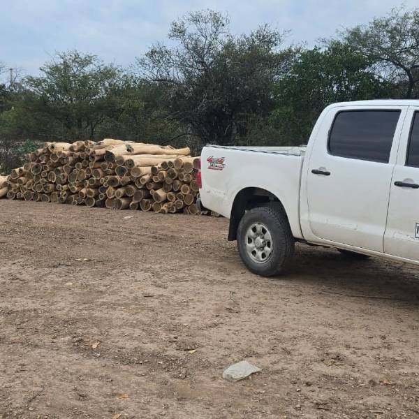 Comunidades originarias se cansaron de denunciarlos: En el norte de Salta detuvieron a 6 hombres por la extracción ilegal de madera de especies nativas