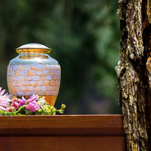 El Municipio de Salta podrá implementar el servicio gratuito opcional de cremación para personas carentes de recursos