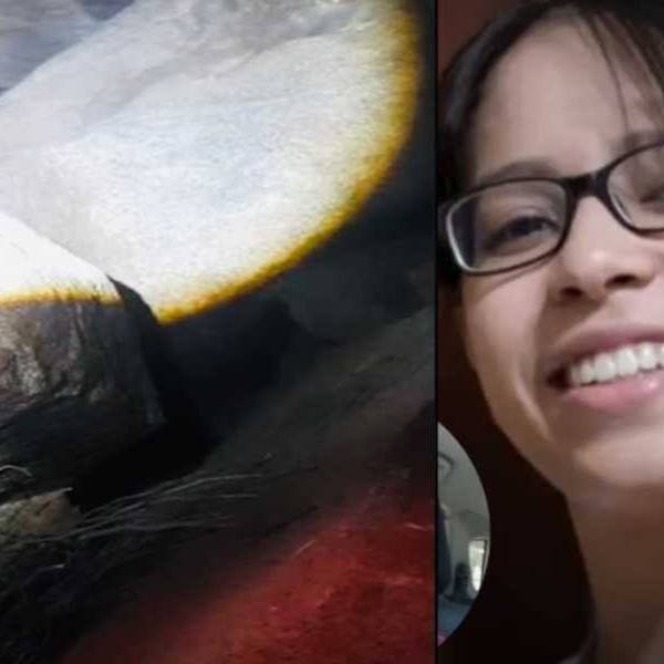 Aún repercute la tragedia de una familia de Campo Quijnao: Dos hermanas asesinadas por sus parejas y un femicida escondido en una cueva