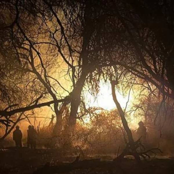 Bomberos de Cafayate piden ayuda a la comunidad tras luchar contra un incendio forestal por 3 días