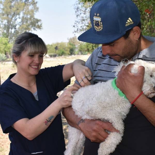 Si querés a tu mascota llevala: La próxima semana habrá vacunación antirrábica en la zona sur