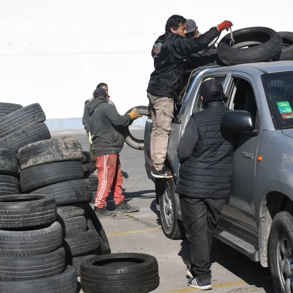 Gestión ambiental: se recolectaron 1.200 toneladas de neumáticos en desuso