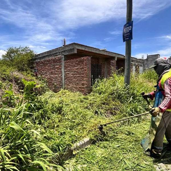 Desmalezado obligatorio: El municipio de Salta endurece controles y sancionará a dueños de baldíos que estén abandonados