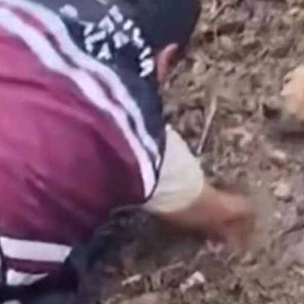 Efectivos del Puesto Policial El Huaico rescataron a un perro que se encontraba en riesgo dentro de un canal 