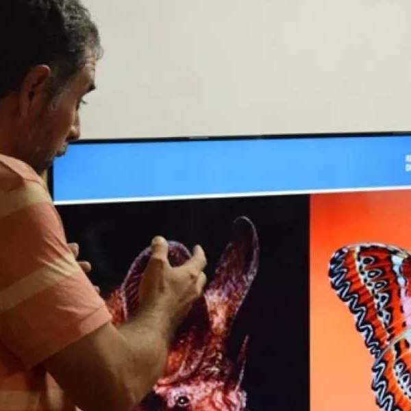 Encendiendo la chispa: Científicos del CONICET, INTA y UNSa llevan la chispa de la ciencia a las escuelas de Salta