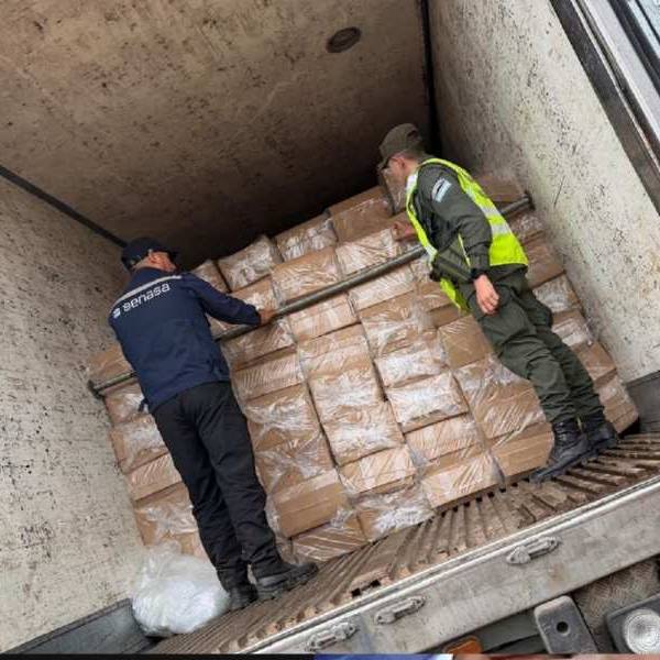 En Salta se evitó el comercio ilegal y consumo de más de 20 toneladas de pescado en estado dudoso