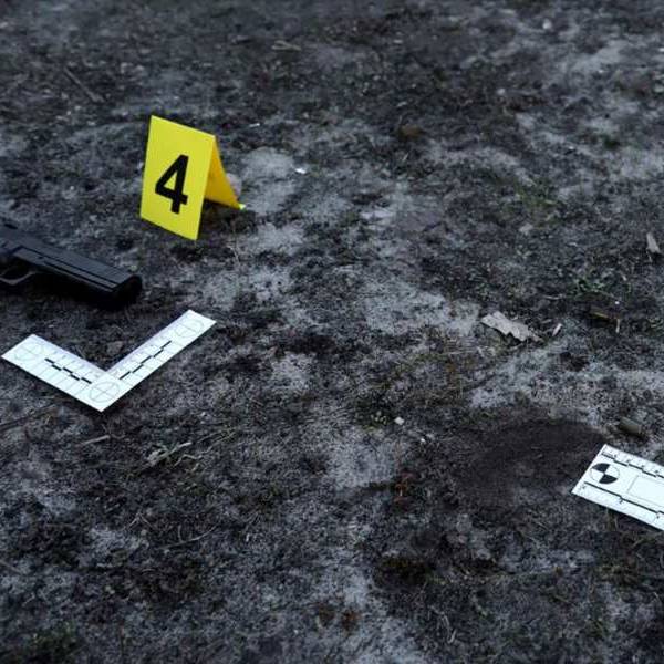 Seguridad: Salta es una de las provincias donde más disminuyeron los homicidios en el 2025