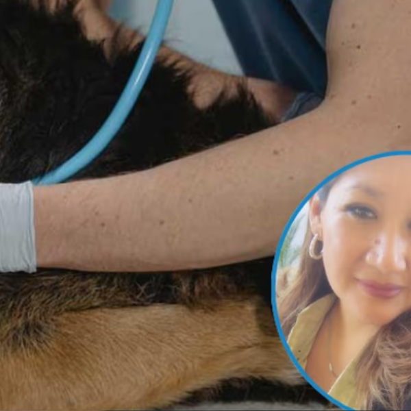 Maltrato animal extremo en Salta: El desgarrador caso de la perrita degollada en Atocha III y que ya está en la Justicia